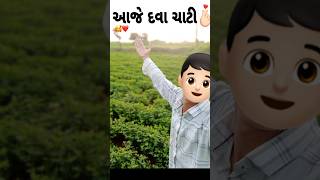 આજે ખેતર માં દવા ચાટી village life short video #trending #vairalshort #minivlog #subscribeplease