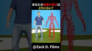 あなたの血管の長さはどれくらい？　#shorts