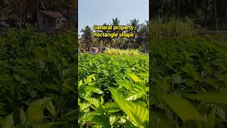 18 Gunte & 1 Acre Sale in Channapatna, Ramanagara, Near Bengaluru, Charan 7338474634, 45 km Kengeri