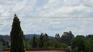 Pacific National Freight Trains (Grain Train & Manildra Group) Passing Molong NSW. 27 November 2023