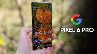 Google Pixel 6 Pro : Official Look Or Price Got Leaked!