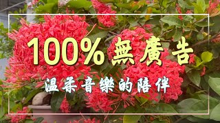 【100%無廣告】📚溫柔音樂的陪伴～讓你很快靜下心來~ 讀書 & 工作音樂 美麗的放鬆鋼琴，適合學習和工作