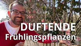 Duftende Pflanzen im Frühling