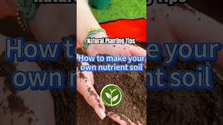 How to make your own nutrition soil #shortvideo #garden #howto #youtubeshorts #farming #viralvideo