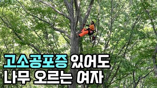 우거진 숲 속 20m 나무 타서 하루 35만원 버는 29살