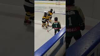 Emerson Hockey Tournament April 2024