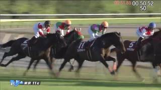 京王杯２歳Ｓ2016　モンドキャンノ（タイムコード・ヴァーチャルライン入り）