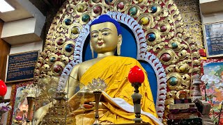 Dalai Lama Temple | Namgyal Monastery | McLeodganj, Dharamshala