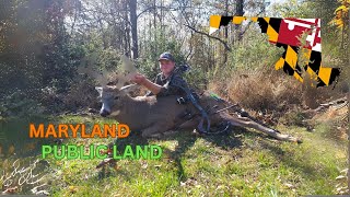 Maryland Public Land Archery Buck!