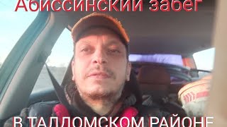 Абиссинская скважина в Талдомском районе. Да не одна🔥🔥🔥