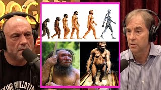 Evolution is A LIE! - Joe Rogan & Stephen C. Meyer #jre