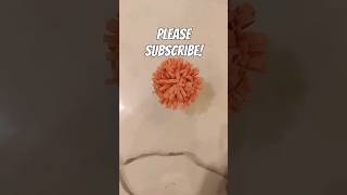 Paper Flower / Home decoration IDEA!