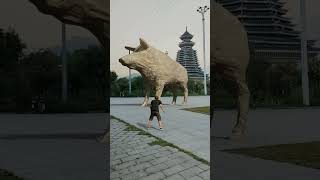 yt1s com   Kicking the ball and smashing the wild boar3D Special Effects 3D Animation shorts vfxhd