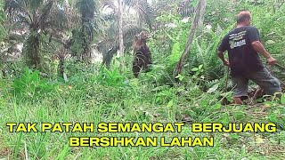 BERSIHKAN ANAKAN KAYU  DI LAHAN SAWIT