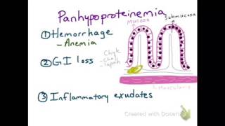 Panhypoproteinemia