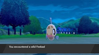 Where To Find Feebas Guide