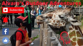 A visit to the Fort Worth Zoo