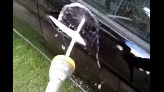 honda civic VIII cquartz + reload water beading, kropelkowanie