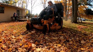 First Big Leaf Cleanup of the season