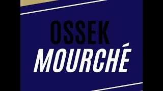 Ossek Mouche 1   Introduction