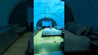 Underwater Hotel Room in the Maldives!😱