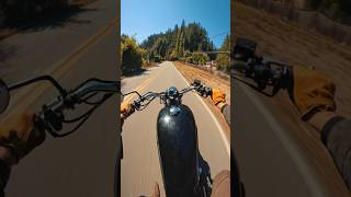 Welcome to the redwoods #motorcycle #motorcyclediaries #cruise #pov #motovlog #royalenfield