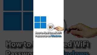 How to Find Saved WiFi Passwords on Windows 11 # shorts #WiFiTips #HomeNetworking #windows11