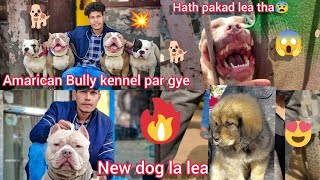 Dog kennel pe Chala gye || New Dog le liya ??Gaint TM#reels #ambully #ritikdogkennel #Caninemaster