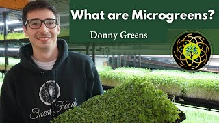 What are Microgreens? -Donny Greens