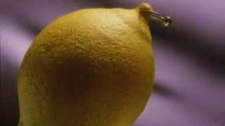 lemon