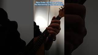 New Order - 60 Miles An Hour, na mandolinę/on the mandolin :)#guitar #akord #guitarpedals