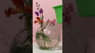 #homedecor #homedecoratingidea #planting #plantsdecoration #youtubeshorts #shorts #diyfishpot