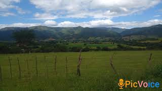 8.- A MI TIERRA TRIGAL (Cueca) - Los Zorros del Trigal