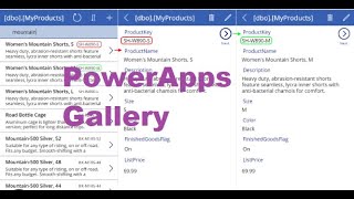 PowerApps Gallery | What is PowerApps | Hoe to show data in PowerApps | Canvas App Gallery