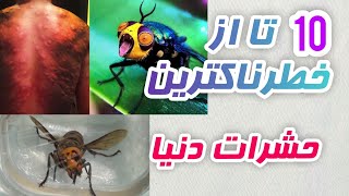 10 تا از خطرناکترین ترین حشرات دنیا