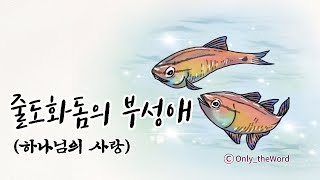 ‘줄도화돔의 부(父)성애’ - 하나님의 사랑