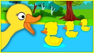 5 Little Ducks | Classic Nursery Rhyme Sing-along with Lyrics!