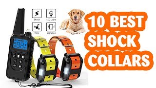 10 Best Shock Collars . The best shock collar to training Dog for 2019