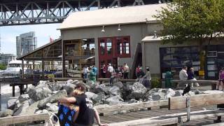 Vancouver's Granville Island, Summer 2010 (Part 2)