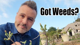 Make Weeding Your Garden Easy!