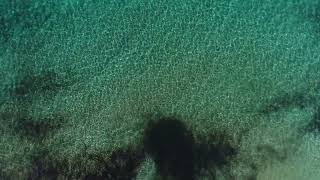 4K Cinematic Drone Footage: Soar Above the Crystal Clear Waters of the Beach on a Sunny Day