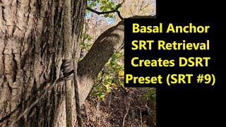 Basal Anchor SRT Retrieval Creates DSRT Preset (SRT #9)