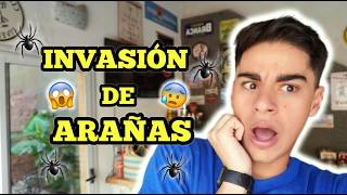 CUANTAS ARAÑAS HAY EN MI CASA?? 😱🕷️😳