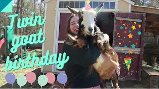 Friday Farm Vlog 105 Animals on the farm this spring