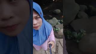 Jalan jalan Di Rembel KENDAL