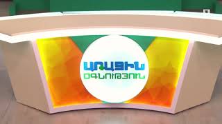 Իմունիտետ. ներկայացնում է «Արաբկիր» ԲՀ լաբորատոր ծառայության ղեկավար Սեւան իրիցյանը