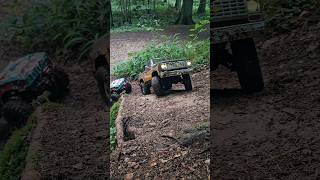 RC CARS RUN THROUGH THE WILD #rc #rcar #rccars