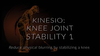 Knee Joint Stability 1