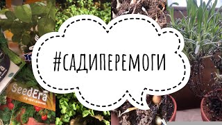 Сади Перемоги!