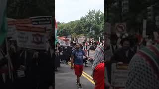 orthodox jewish people protest against the israeli govt